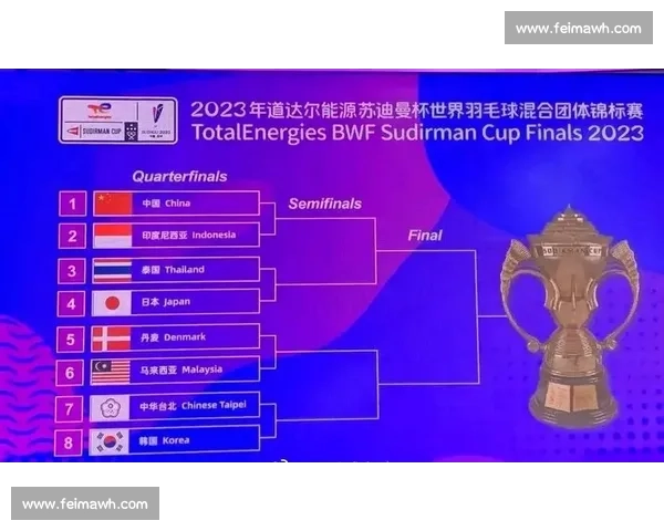 比利时对阵韩国焦点之战实力碰撞与战术博弈前瞻全面解析关键看点走势